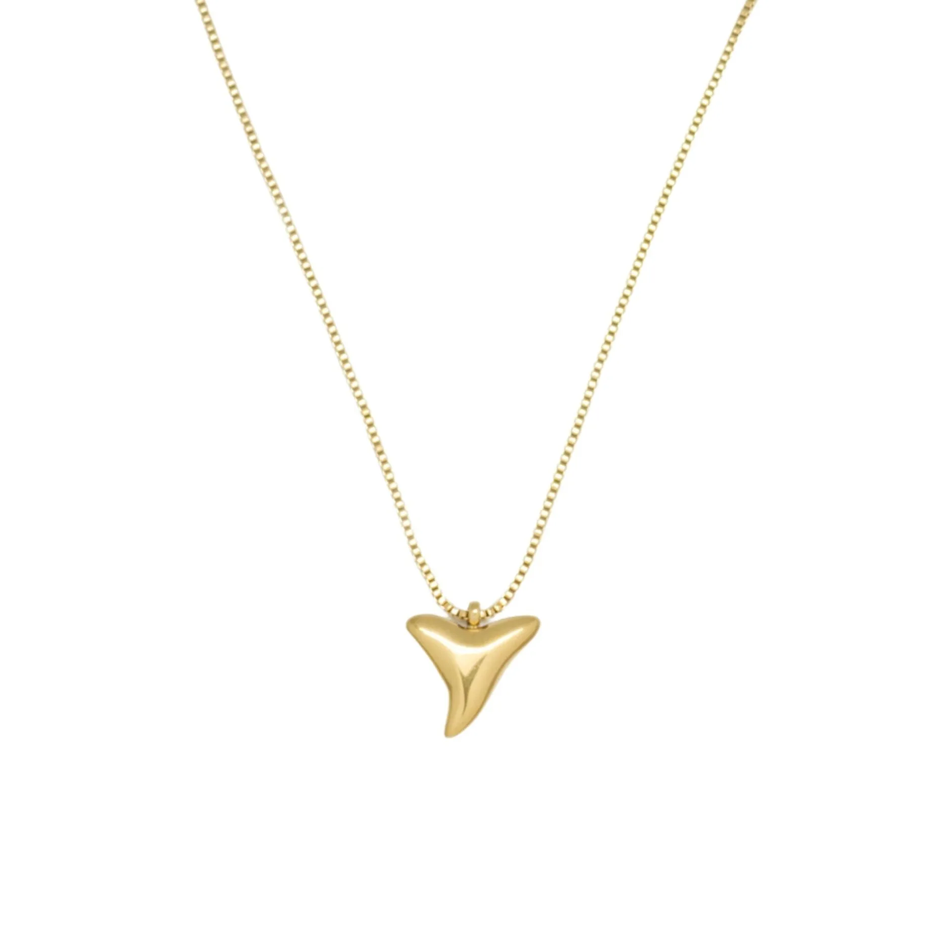 Shark tooth