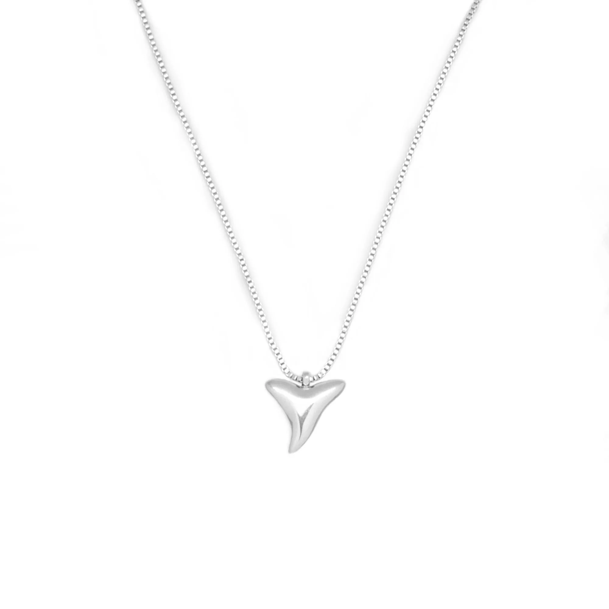 Shark tooth